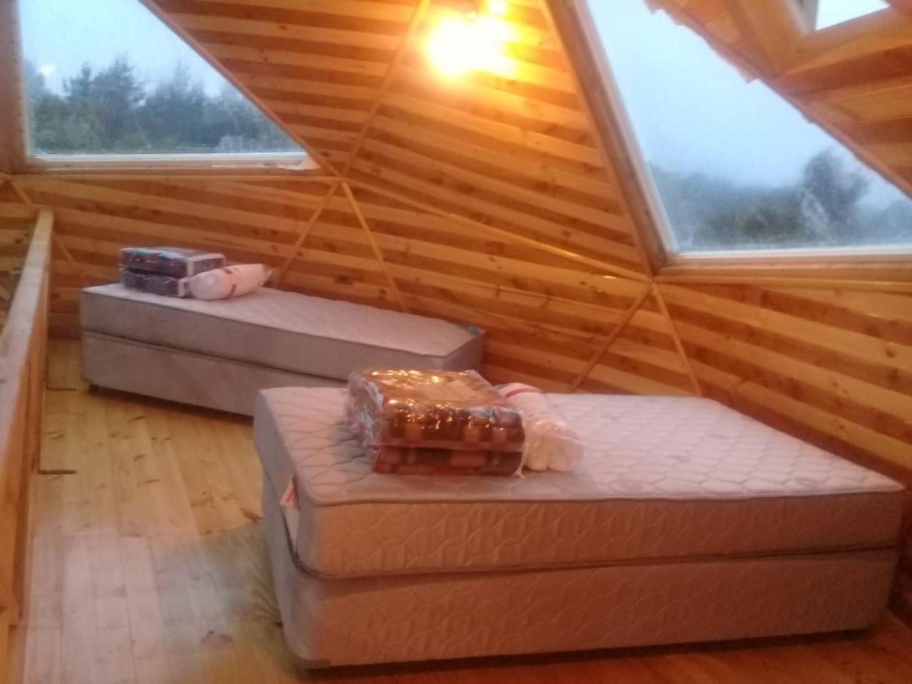 Y Copihues Holiday home Ancud